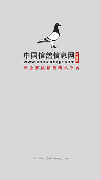 中国信鸽信息网1
