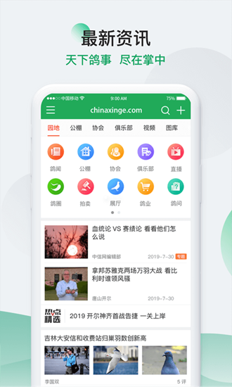 中国信鸽信息网3