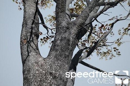 speedtree Games Indie软件图片
