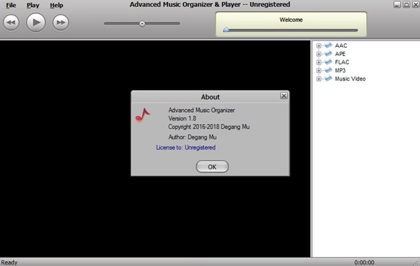 Advanced Music Organizer软件图片2