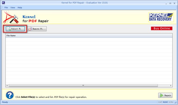 Kernel for PDF Repair图