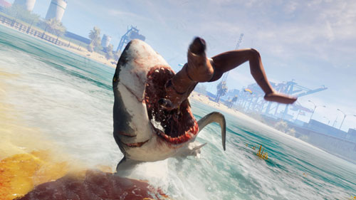 食人鲨怎么高跳游戏高跳技巧分享