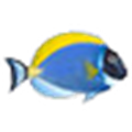 Sim AQUARIUM 2(鱼缸锁屏软件)