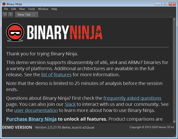 Binary Ninja 3.3.3996 instaling