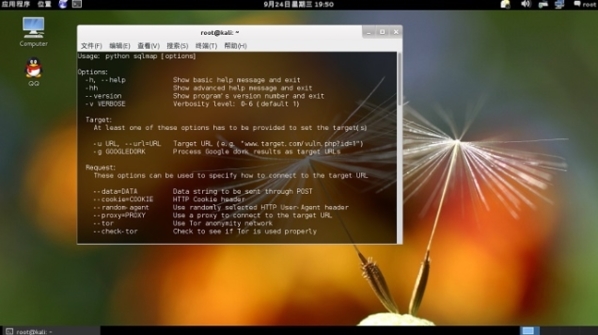 kali linux新手教程图片