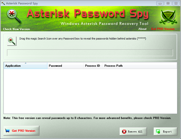 Asterisk Password Spy图片