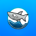 酷鱼生活物联流量卡app