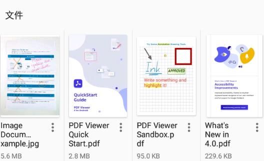 PDF Viewer图片
