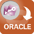 AccessToOracle(Access转oracle工具)