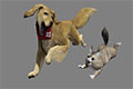 《怪物猎人：崛起》限定特典演示 艾露猫和牙猎犬特典造型公开