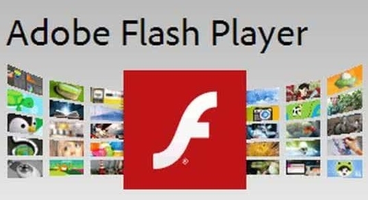 Clean Flash Player图片1