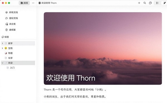 Thorn写作软件图片