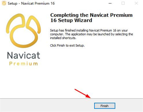 Navicat Premium 16图片5