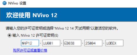 NVivo12图片5