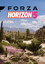 极限竞速：地平线5(Forza:Horizon 5)PC中文版