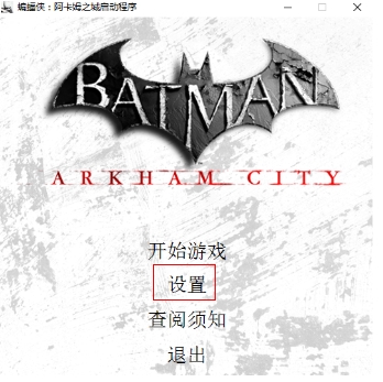 蝙蝠侠阿甘之城年度版设置截图