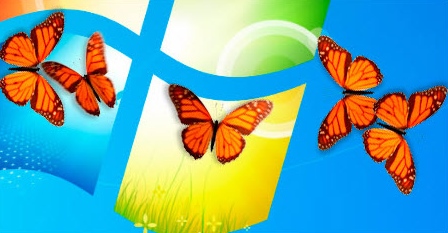 ButterflyOnDesktop图片