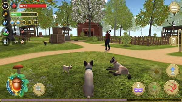 猫咪模拟器：农场动物