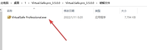 Virtual Safe Professional破解版图片2