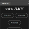 至臻版DMX磨皮插件 电脑版v2022
