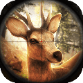 模拟猎人 安卓版1.0.0.0122