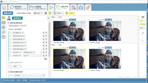 Duplicate Cleaner Pro 5中文破解版图片2