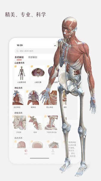 口袋人体解剖2