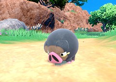 寶可夢朱紫愛吃豚怎么樣 寶可夢特點介紹