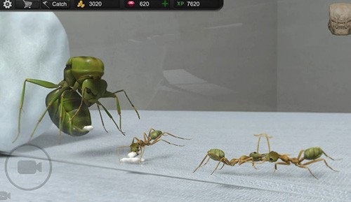 蚂蚁模拟大亨4