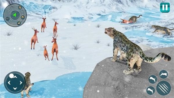 野生雪豹模拟器截图1