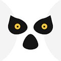 狐猴浏览器app插件版