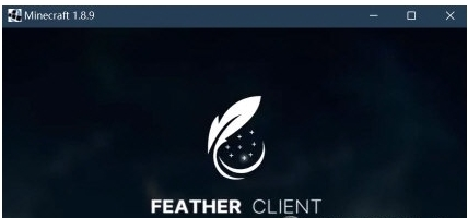 我的世界feather客戶端圖片1
