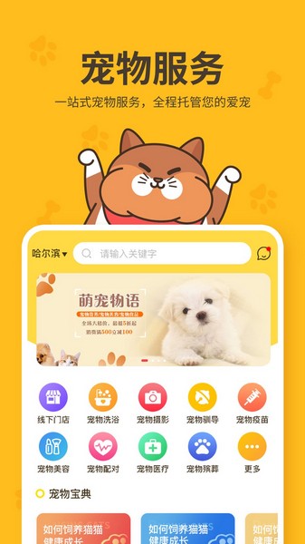 哈奇馬3