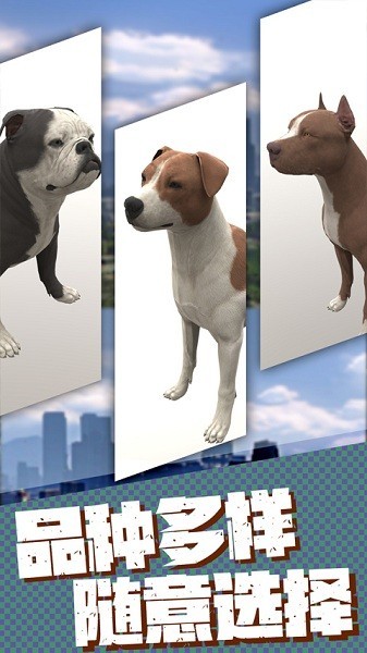 流浪狗生存模拟器3