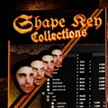 Shape Key Collections