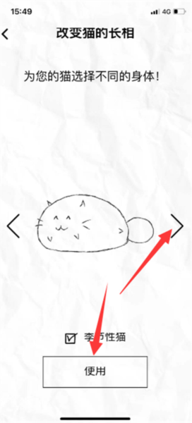 fatty cat9