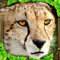猎豹模拟器游戏图标