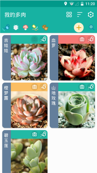 多肉成长记 安卓版v4.9.3