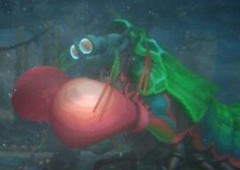 潜水员戴夫绿色皮皮虾怎么打 BOOS打法攻略分享
