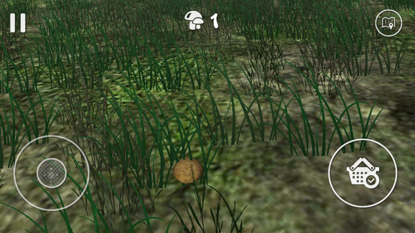 真实采蘑菇模拟器截图4