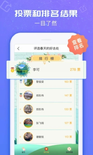 投票易2