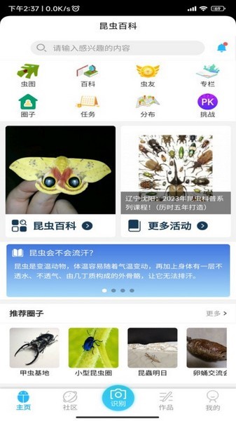 昆蟲百科5