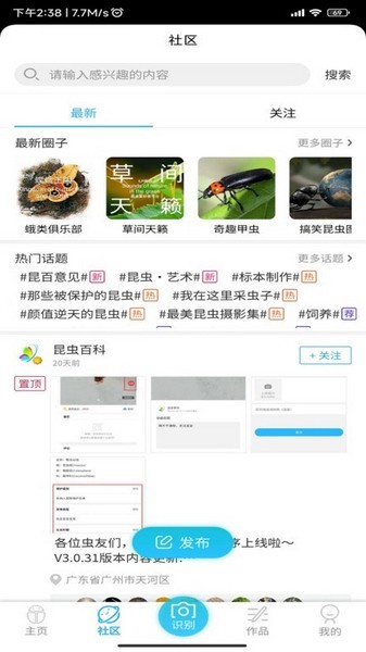 昆蟲百科4