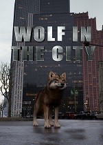 城市里的狼