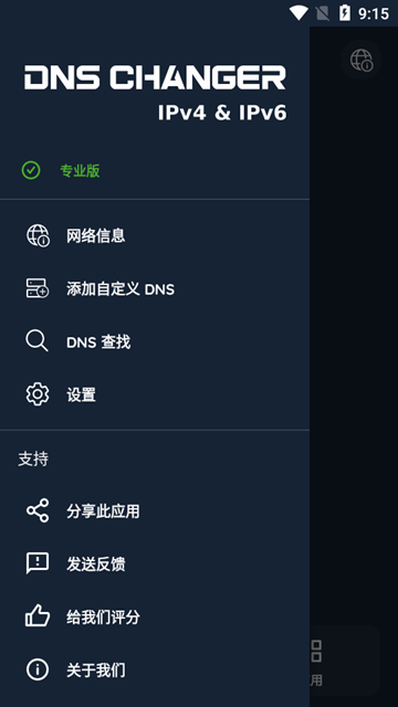 DNS修改器中文版图片3