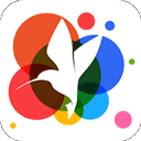 360小鸟壁纸app