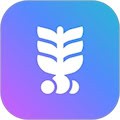 麦芽