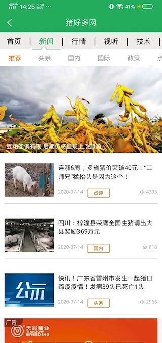 豬好多5