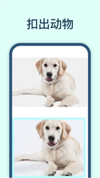 迅捷抠图app截图3