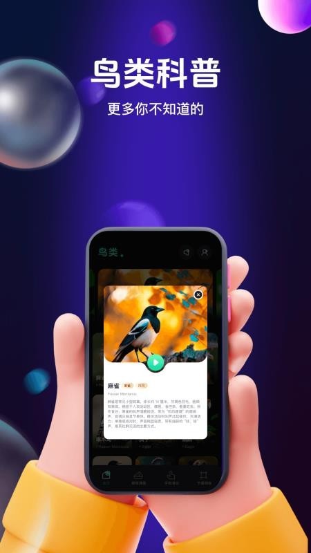 鸟儿摇鸣曲app3